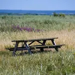 C11237-hemmet-gamma-8 * Hemmet