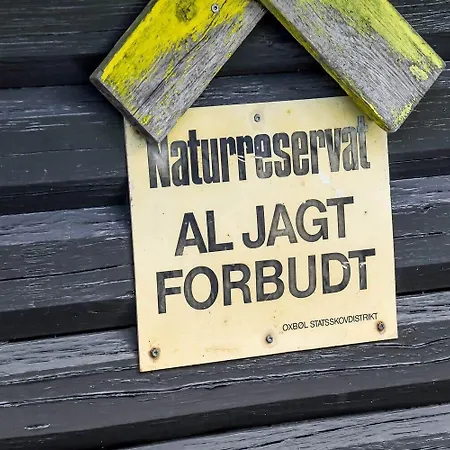 Дом отдыха C11237-hemmet-gamma-8