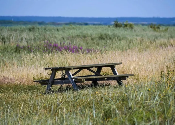 C11237-hemmet-gamma-8 * Hemmet